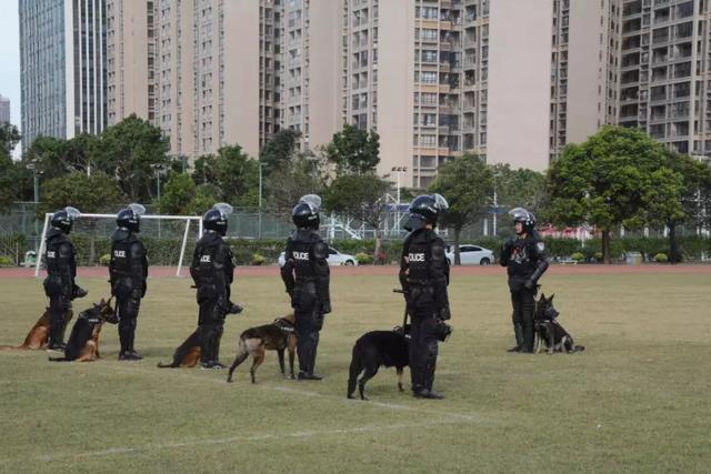 广东省警犬基地学校，培育警犬技能的摇篮