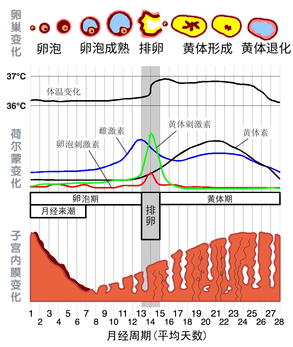 科技 第593页