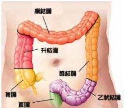 结肠术后一个月饮食指南