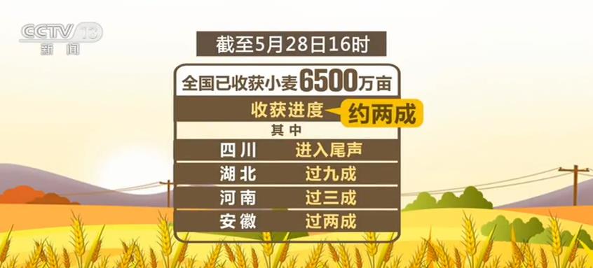 广东省劳动监察，守护劳动者权益的坚实屏障