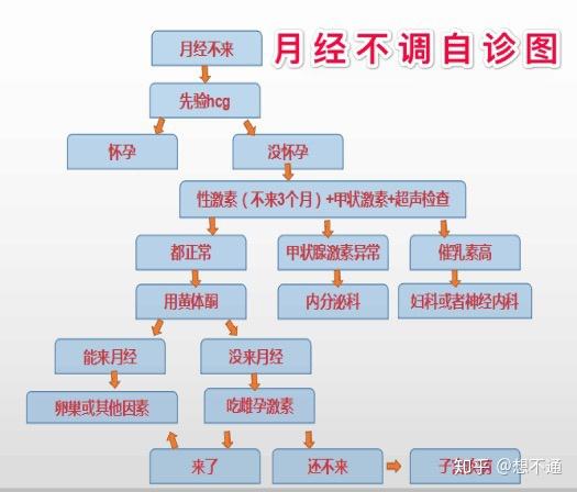 青少年两个月不来月经，原因、影响与对策