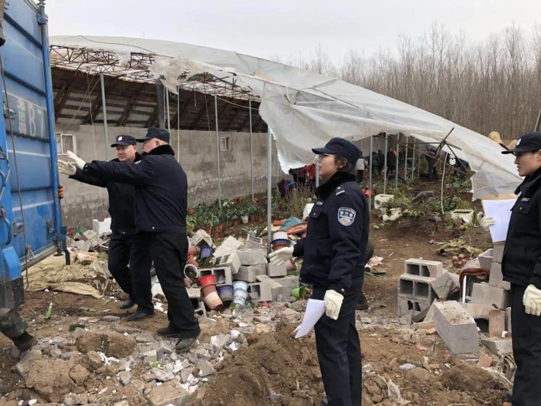 河北乐亭房产，繁荣与发展中的地域房地产市场解读