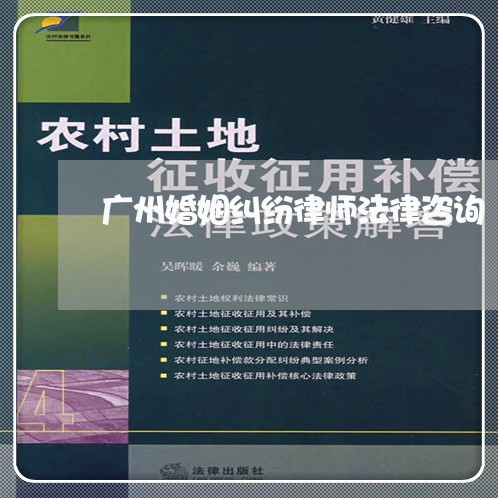 广东省离婚律师电话咨询，解析法律疑难，守护家庭未来