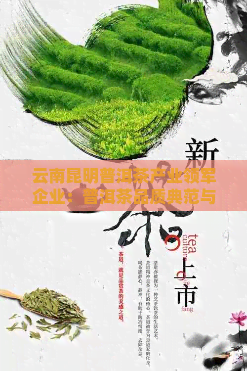 广东云南茶业有限公司，传承与创新茶叶文化的典范