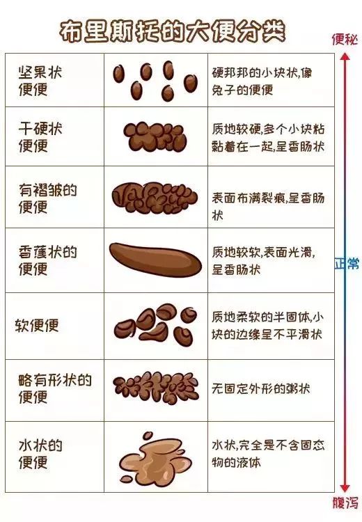 三个月宝宝拉蛋花便，原因、应对措施与关注重点