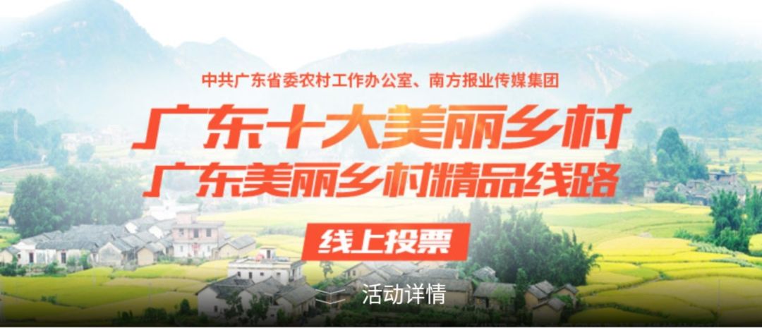 广东省武东镇招商，开启全新商机，共创美好未来